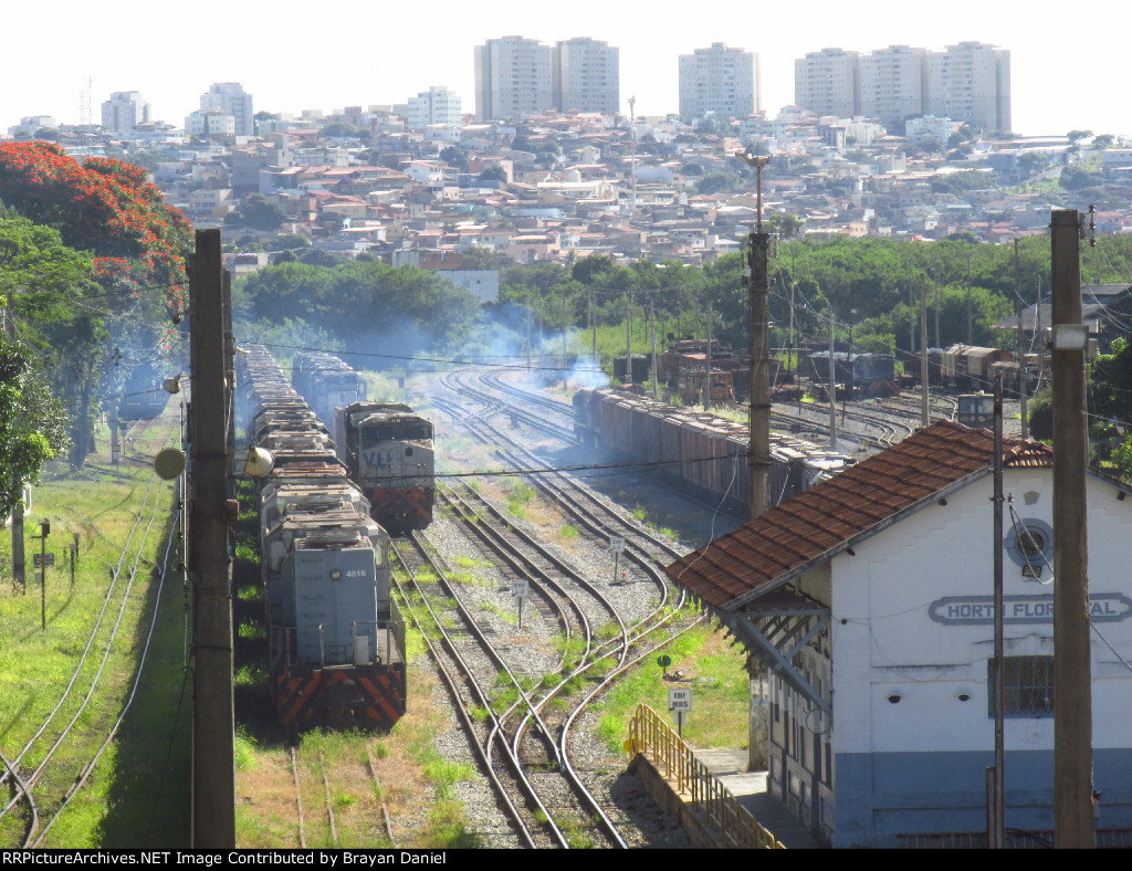VLI 4816
